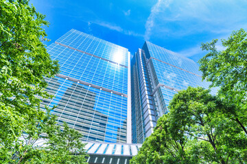 爽やかな緑のビジネス街