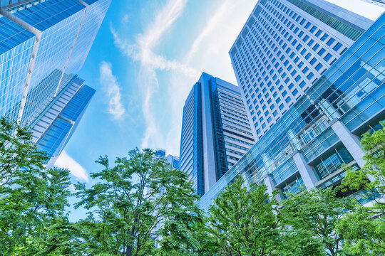 爽やかな緑のビジネス街