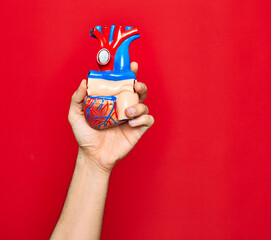 Beautiful hand of man holding artificial heart over isolated red background