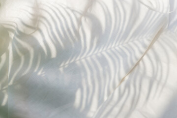 white fabric and shadow leaf felling natural.