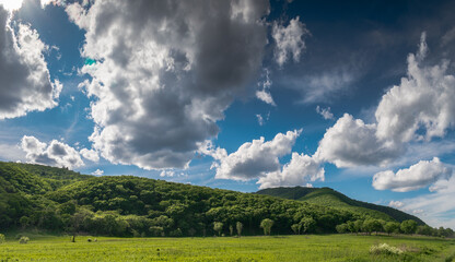 Fototapeta na wymiar Summer landscape with green mountains and meadows, sky with clouds.