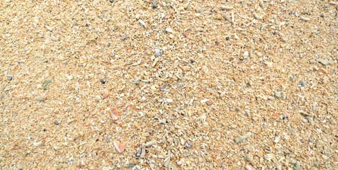 Corals stones shells sticks and sand on the beach