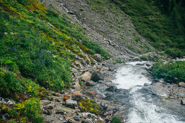 Wonderful scenic landscape with rich flora near mountain river. Highland scenery with fresh greenery, thick mosses and big stones near small river. Clear water stream in mountain creek with rapids.