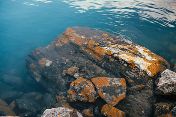 Stones with orange lichens in azure calm water of mountain lake close-up. Atmospheric nature background of turquoise lake with lichen rock and boulders. Natural backdrop with stone in cyan lake water.