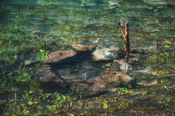 Flooded campfire among greenery in calm clear water. Meditative ripple on transparent water after flood in camping place. Stony bonfire among green vegetation on bottom of mountain lake during flood.