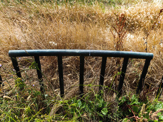 Fototapeta premium Cerca e a plantação
