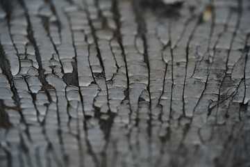 old wooden surface with peeling paint