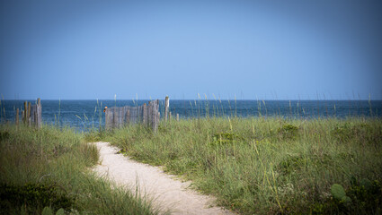Fototapeta na wymiar A sandy pathway through the dunes.
