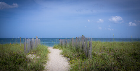 A sandy pathway through the dunes.
