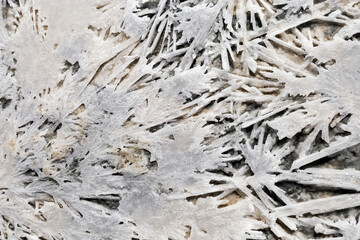 Patterns from salt on shore Lake Ebeyty  in Omsk region (Russia). Natural salt crystals white colored on ground.