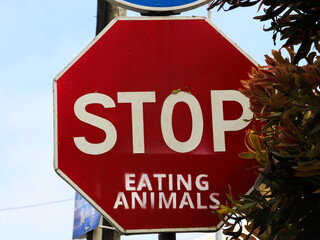 stop