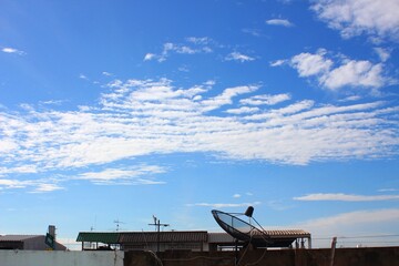 Deep Blue Sky Roof Top