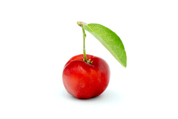 Juicy red cherry thai isolated on the white background.
