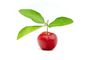 Juicy red cherry thai isolated on the white background.