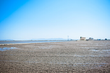 Rice fields near Valencia.