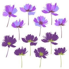 Flower vector illustration material abstract beautifully,