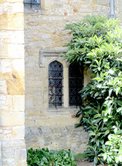 a window in an old stone wall and a green tree beside it