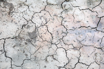 Dried up, cracked mud on hot summer day. Extreme weather