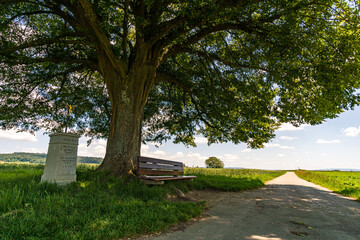Fototapeta premium Fantastic hike near Sipplingen on Lake Constance