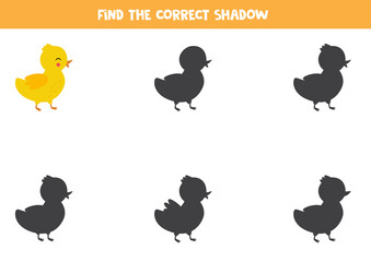 Find the right shadow of cute cartoon duckling.