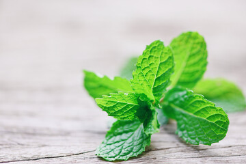 Peppermint leaf on wooden background - Fresh mint leaves nature green herbs or vegetables food
