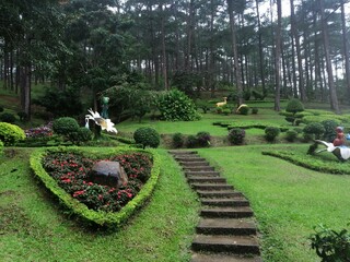 formal garden with flowers