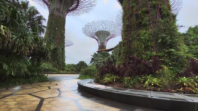 Lush Plants At The Bottom Of Beautiful Supertrees In Gardens By The Bay In Singapore - circling shot
