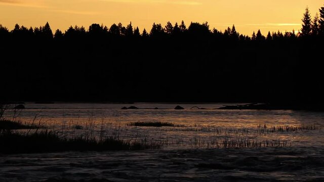 High River Level in Flood Stage, Early Monring Shot. Water Flowing in Untouched Landscape