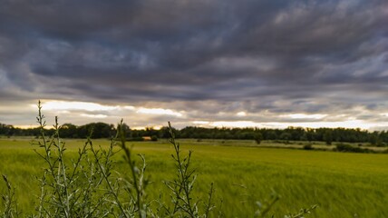Horizontal view of dramatic puffy clouds over green fields and  forests - about to rain