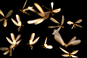 group of  mayfly flying​ lights​playing​ night​ time​ - obrazy, fototapety, plakaty