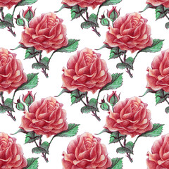 Seamless pattern drawing color pencils pink rose bud with leaves. Art creative background for card, wallpaper, textile, wrapping, florist