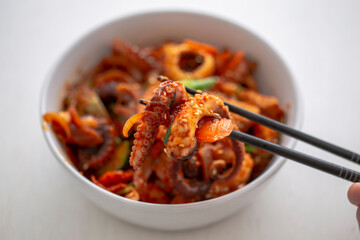 Korean Style Spicy Squid with Pork