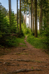 Obraz premium Fantastic hiking on northern Lake Constance