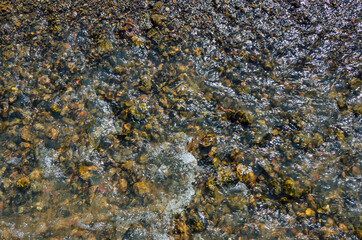 Cool freshness of mountain river fast stream in sunny summer day. Colorful pebbles under...