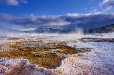 Mammoth Hot Springs