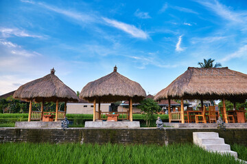 Fototapeta na wymiar Beautiful rice terrace in Ubud, Bali