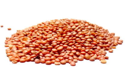 Red Lentils or Masoor Dal isolated on White Background