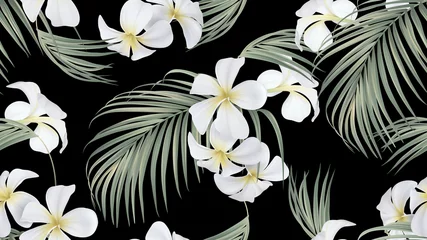 Gordijnen Floral seamless pattern, white plumeria flowers with indoor bamboo palm leaves on black © momosama