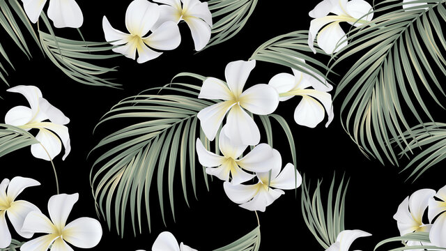 Floral seamless pattern, white plumeria flowers with indoor bamboo palm leaves on black