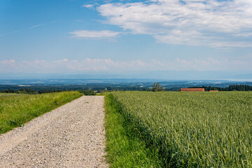 Fantastic hiking on northern Lake Constance