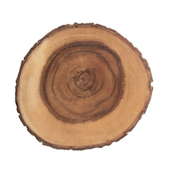 Cross cut section of tree stump on white table flatlay top view. Decorative stock bohemian element...