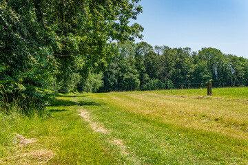 Fantastic hiking on northern Lake Constance