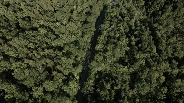 Flying over a road going through the lush green forest of Quebec