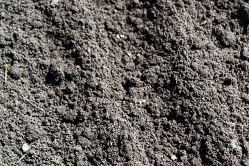 Ground texture. Photo of the earth