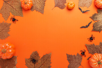 Collection Halloween And Autumn party objects frame