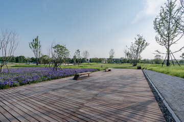 Fototapeta premium road in park