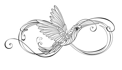 Contour Infinity with Hummingbird © Nelli Valova