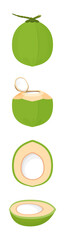 coconut fresh young isolated on white, illustration coconut half sliced for healthy food menu fruit juice, coconut summer fruit concept, green coconut for clip art simple