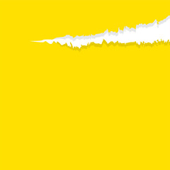 Fototapeta premium paper yellow with tear marks for banner copy space, paper rip torn yellow square background, yellow paper with edge tear, sheet paper card rip for advertising message text, notepaper memo torn texture