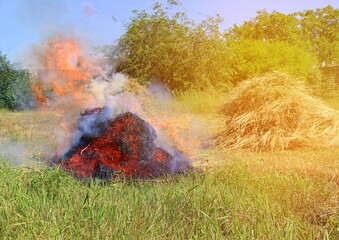 Big fire. Dense mowed grass burns in a field in a village in summer. Harvesting weeds in the garden.